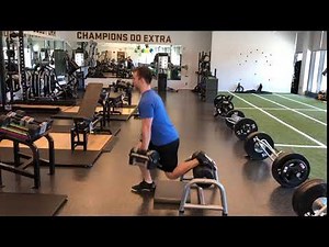 DB RFE Split Squat