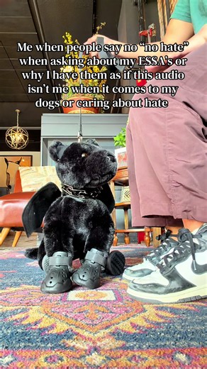 Emotional Support Stuffed Animals (ESAs) Explained