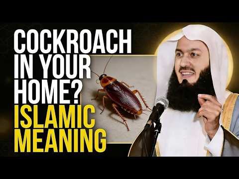 When Allah Sends Even a Cockroach 🪳 Into Your Home | A Powerful Hidden Lesson | Mufti Menk