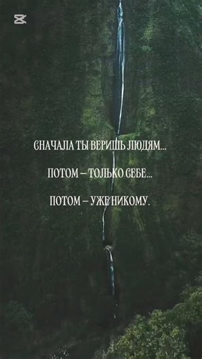 Эти цитаты бьют по факту… но с юмором😁✨ # shorts #юмор #жизнь