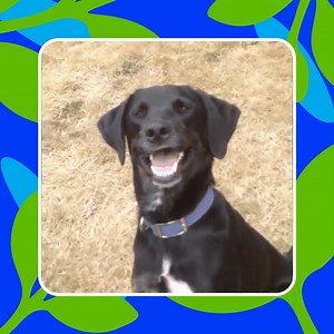 Did you know that the way you blink can suggest your innermost thoughts, feelings and even intentions? To find out more and measure how much you’re blinking click the link: https://bit.ly/3uq8icK | Vision Direct