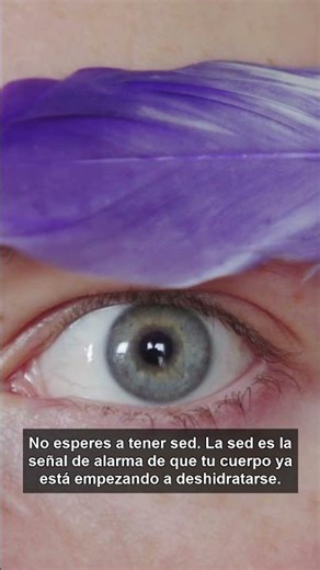 ¿Cuánta agua beber al día? Cálculo exacto según tu peso
