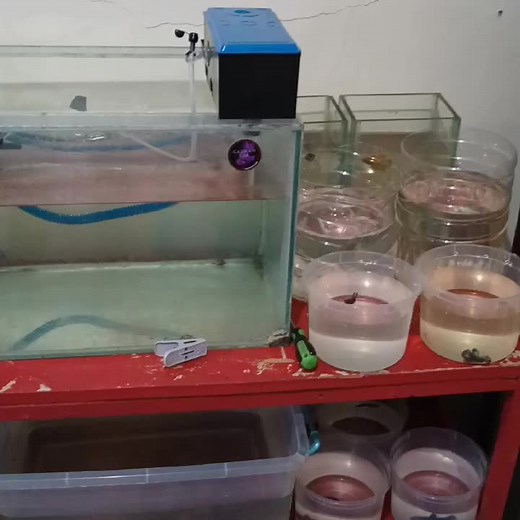 Jeremy Suarez (@jeremy.suarez613)’s videos with original sound - Jeremy Suarez