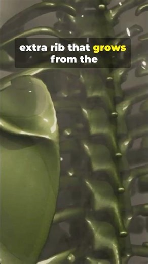 The Extra Ribs: SHOCKING!!! #tiktok