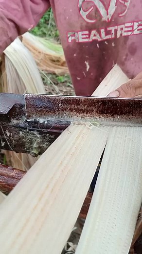 bods (@jhonlou32)’s videos with original sound - bods