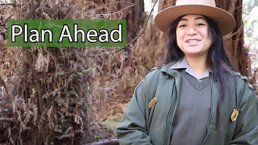 Top Ten Tips for Visiting Muir Woods (U.S. National Park Service)