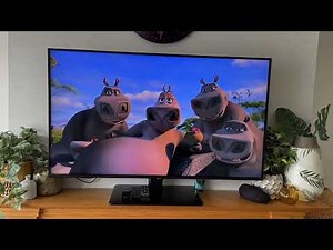 Opening To Hotel For Dogs 2009 UK DVD