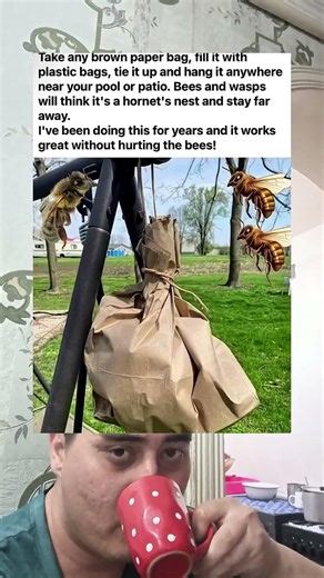 Hang a Paper Bag Stuffed With Plastic Bags Near Your Pool — It Can Help Keep Wasps Away #shorts
