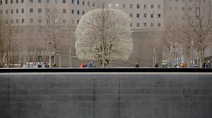 8K views · 220 reactions | Preview the free HBO documentary What Happened on September 11, with classroom materials for grades 6–8. The 30-minute documentary premieres on September 11 at 7 a.m. EST. See the lesson plans: https://bit.ly/2k9D4lZ | Scholastic Teachers | Facebook