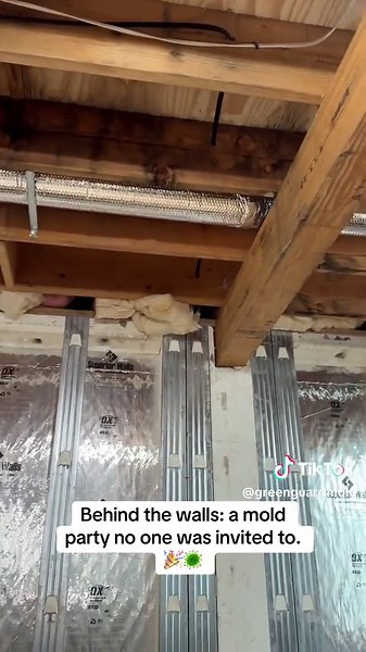 Check your framing always! #greenguardmold #moldspecialist #moldinspection