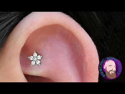 The Whole Truth - Shen Men Piercing