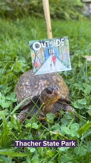 11 reactions | Don't forget we're part of the Literacy Trail program for NYS. We still have some books available in english and spanish. Visit all of the participating parks to get each title. #literacy #readingisfundamental #readingisfun #readoutside #books #WellNYS | Taconic State Park- Copake Falls/Rudd Pond | Facebook