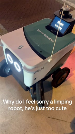 When Delivery Robots Go Wrong 🤖😂 #robot#robotroad#robotfail#fooddeliveryrobot#fyp