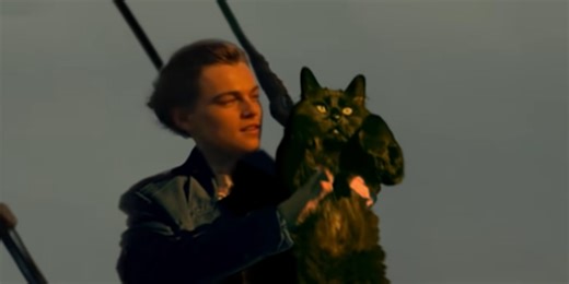 'Titanic' but with a cat instead of Kate Winslet is the best thing you'll see today