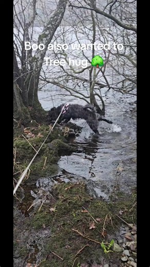 Boo's Nature Adventure at Ullswater