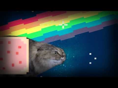 NONONONO NYAN Cat
