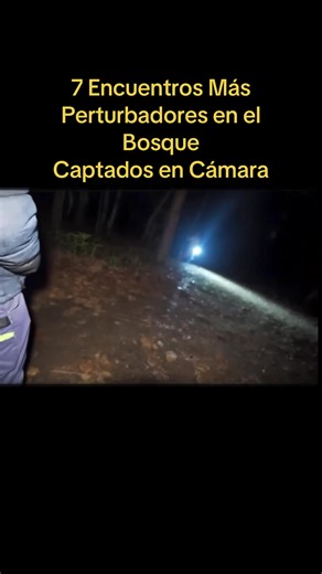 Encuentros Perturbadores en el Bosque Captados en Cámara