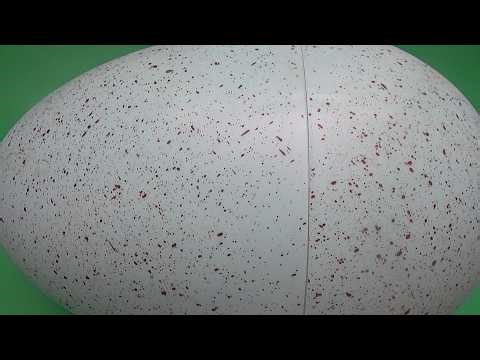 Learn Colours With The World's Biggest Surprise Nesting Eggs | Early Educational Toddler Videos