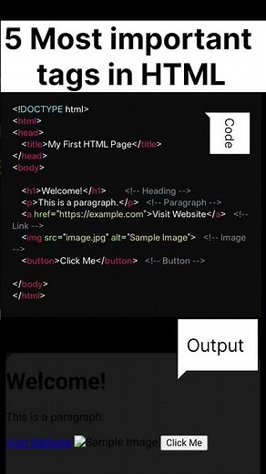 5 HTML Tags Every Beginner Must Know