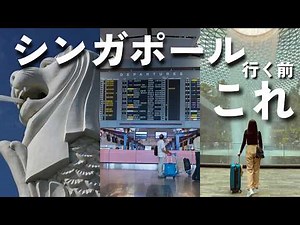 初めてのシンガポール🇸🇬安心ガイド｜持ち物・両替・交通・トイレ・注意点まとめ