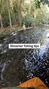 My favorite way to streamer fish is standing above riffles, casting to the other side and stripping it up stream through the faster flow. The trout are focusing on holding in the faster flow, when a streamer strips past them, they have zero time to react or think, their instinct is to whallop. I have the most success streamer fishing this way. Next time you have a streamer combo on the water. Try this technique. You'll be surprised how effective it is. | Trout Fishing
