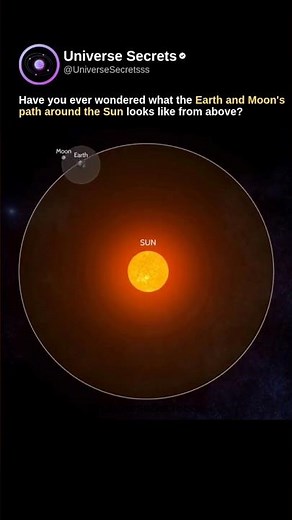 1 Year in Space: Earth and Moon Orbit Animation 🚀