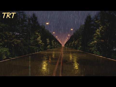 Rainy Night on The Road | Rain on street | Rain Sounds Ambience 8 Hours | Relax and Sleep