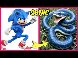 The Sonic The Hedgehog 3 Characters As Snakes 🐍 & their Favorite Drinks, Snacks & More! | Shadow