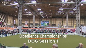 Dog Obedience Championship Session 1 | Crufts 2019