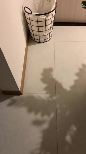 Kawaii Neko Cat - Cute Moments Compilation