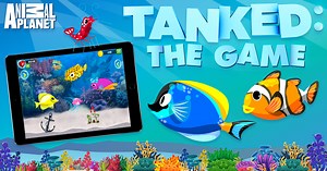 tanked-the-game