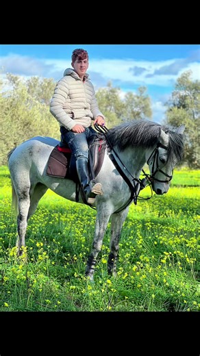 #blida09_tiktok_algérie❤️🇩🇿 #bts #tpyシ #chevalier #blida09_tiktok_algérie❤️