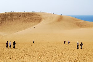 Sandboarding in Japan: Tottori Sand Dunes & More - Sandboarding