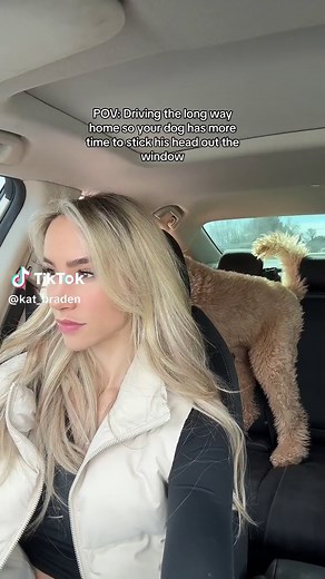 One of his favorite things to do #dogs #fyp #dogsoftikok