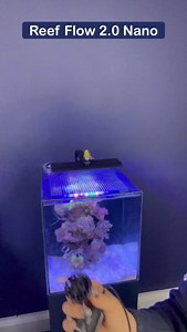 3.4K views · 12 reactions | Keep your reef in motion with the TMC...