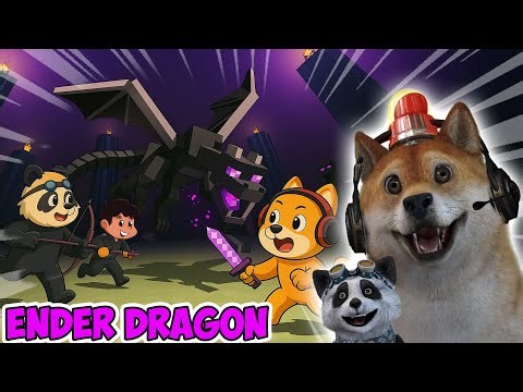 We Finally Beat Minecraft by Slaying the Ender Dragon! - Minecraft Survival #5