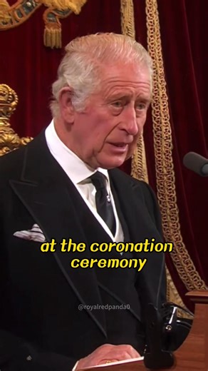 136K views · 3.4K reactions | The woman walking in front of Camilla threatens her position!! | Princess WLS | Facebook