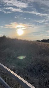1.9K views · 128 reactions | Head of the Meadow Beach, North Truro, this afternoon. One can feel that spring is on the way.  Mark Petteruti | Botanica | Facebook