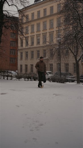 Every year. #stockholm #sweden #cinematic #nordic | Adam Eskilsson
