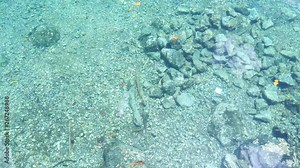 Garbage floating on water surface in tropical transparent caribbean sea, plastic pollution problem sea life coral