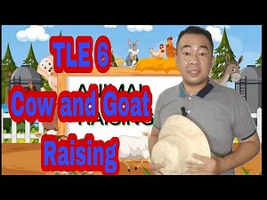 TLE 6 Agriculture Animal Raising (Cattle and Goat) ‪@teacheralvintv‬ #animal raising #cow #goat