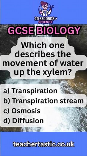 Transpiration vs Transpiration Stream 🌱 GCSE Biology Made Easy!