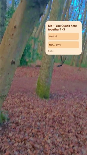 song name: bloom-pogo (its so bussin!!! trust me!! :3)