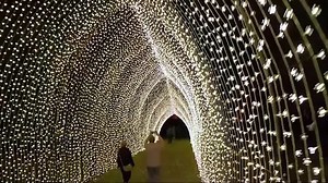 Mile-long light show lights up LA arboretum