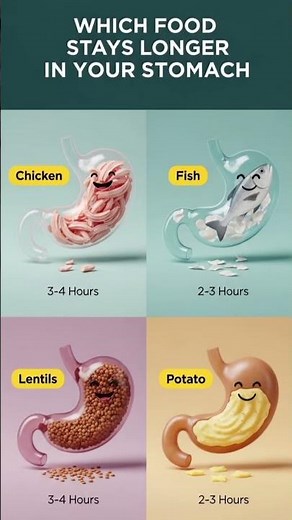 Protein vs Carbs: Which Food Keeps You Full Longer?