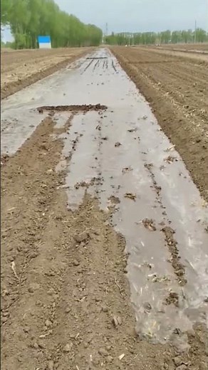 Water Process in Agricultural Fields 💧