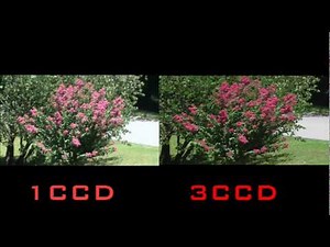 1CCD VS. 3CCD
