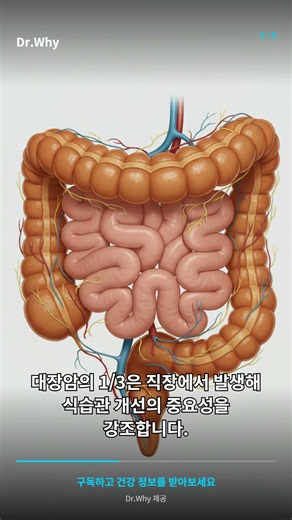 직장암 위험 낮추는 밥상? 식이섬유의 놀라운 힘 | Dr.Why 제공