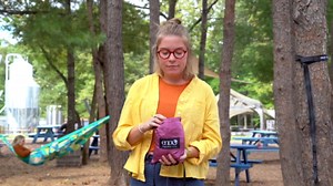 Amazon.com: ENO, Eagles Nest Outfitters JungleNest Hammock, Pacific : Pet Supplies