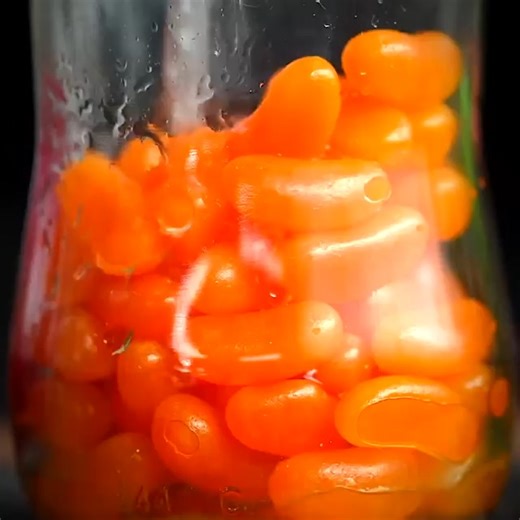 Go wild for these crazy vodka creations! 🤯 | Twisted